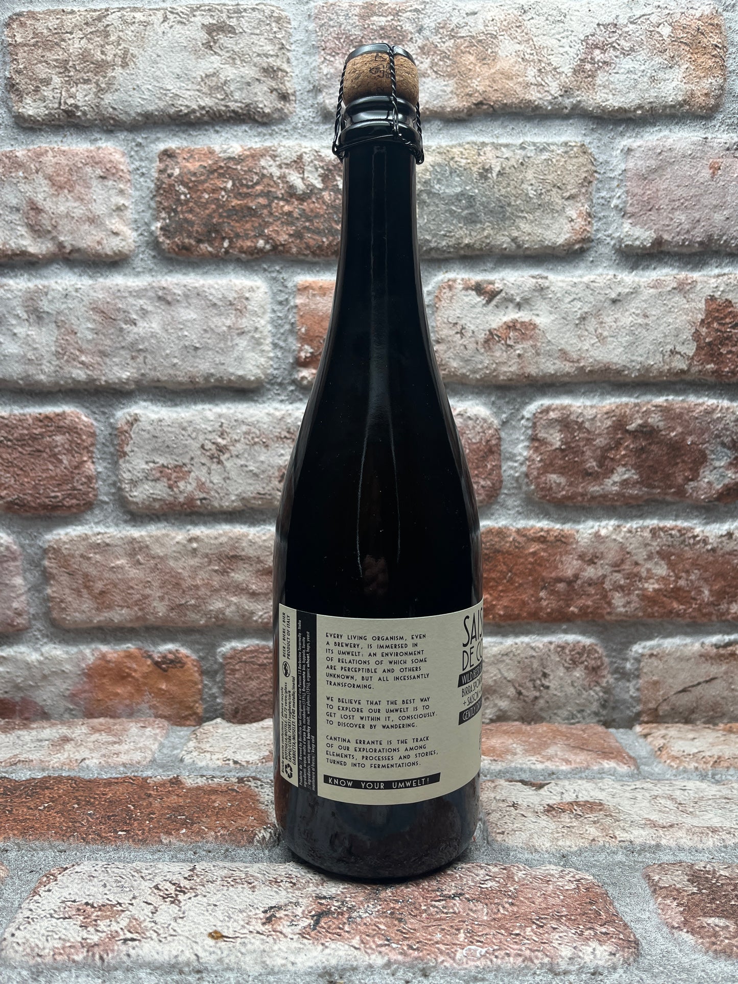 Cantina Errante Saison De Coupage Mirabolani 2022 Wild Ale - 75 CL