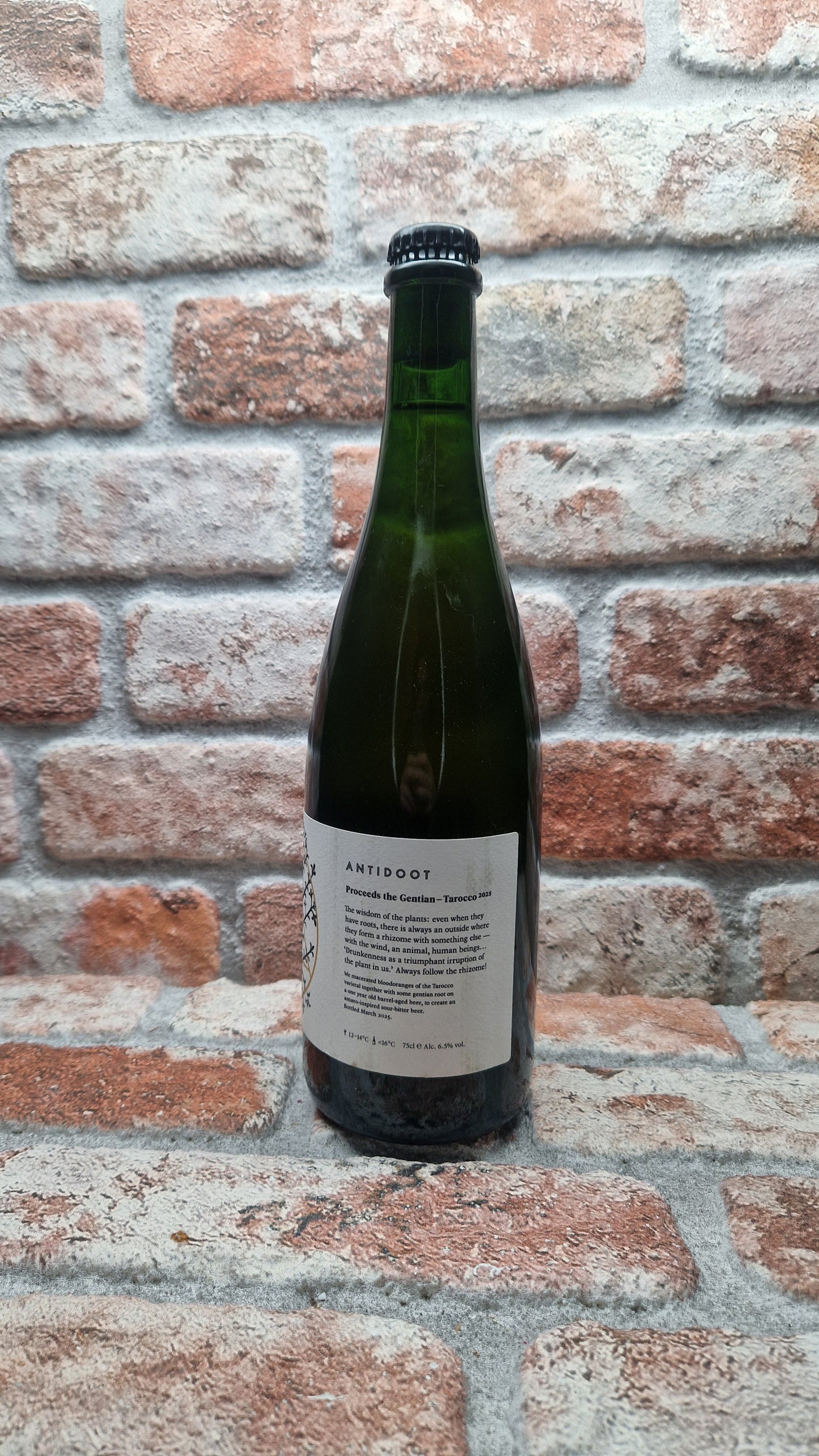 Antidoot Proceeds The Gentain -Tarocco 2025 Wild Ale - 75 CL