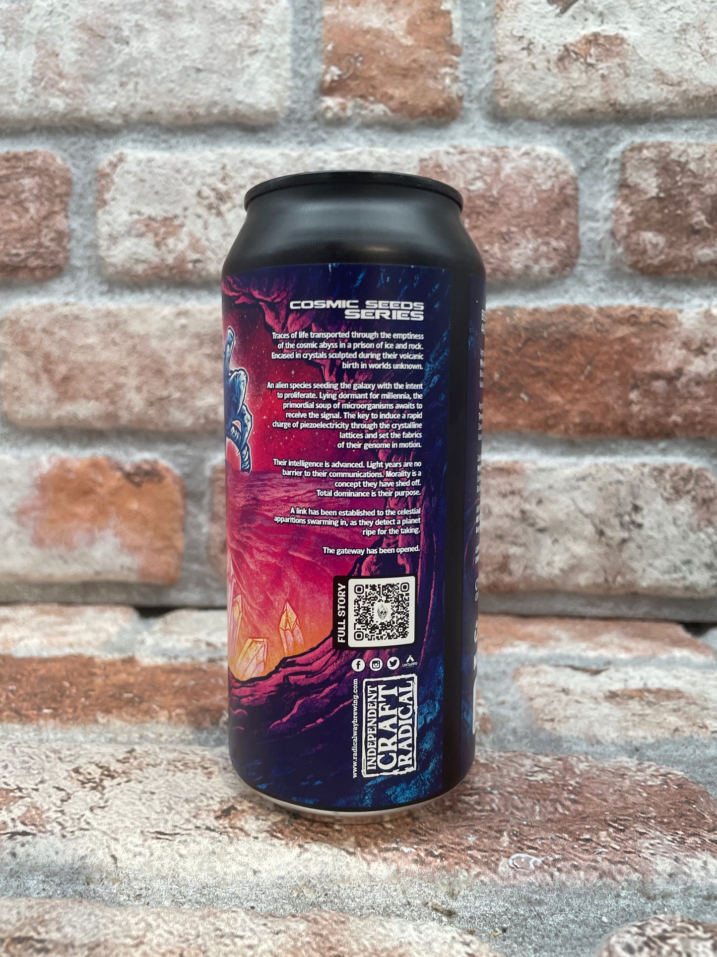 Radical Way Brewing Dormant Sentience Sour – 44 cl
