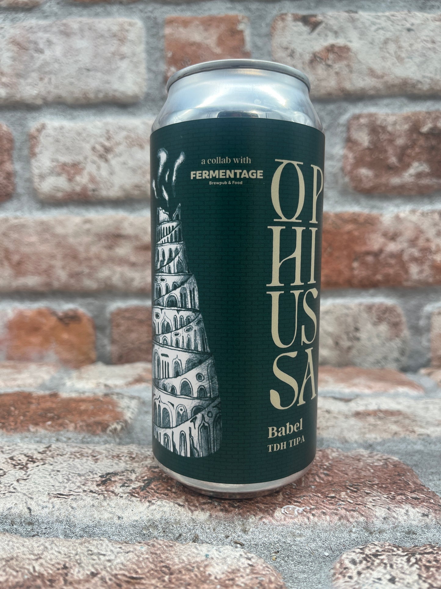 Ophiussa Babel TIPA - 44 CL