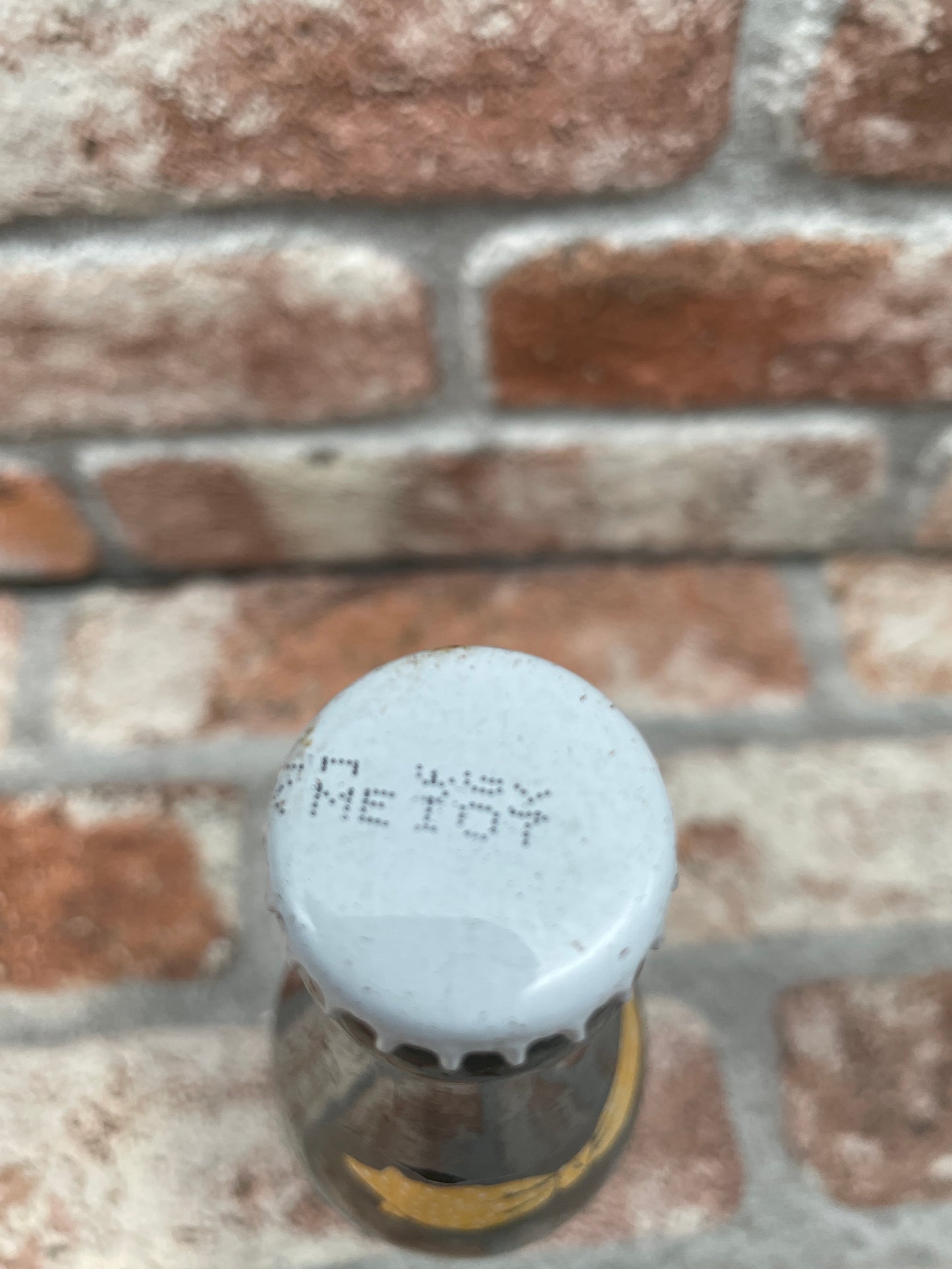 De Dolle Brouwers Arabier strong 2006 Ale - 33 CL