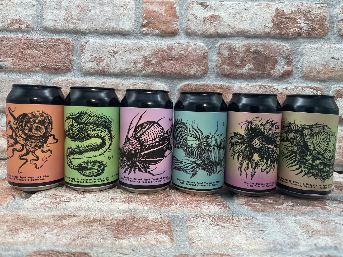 Half Acre Bentic Box 2024 Stout - 33 cl