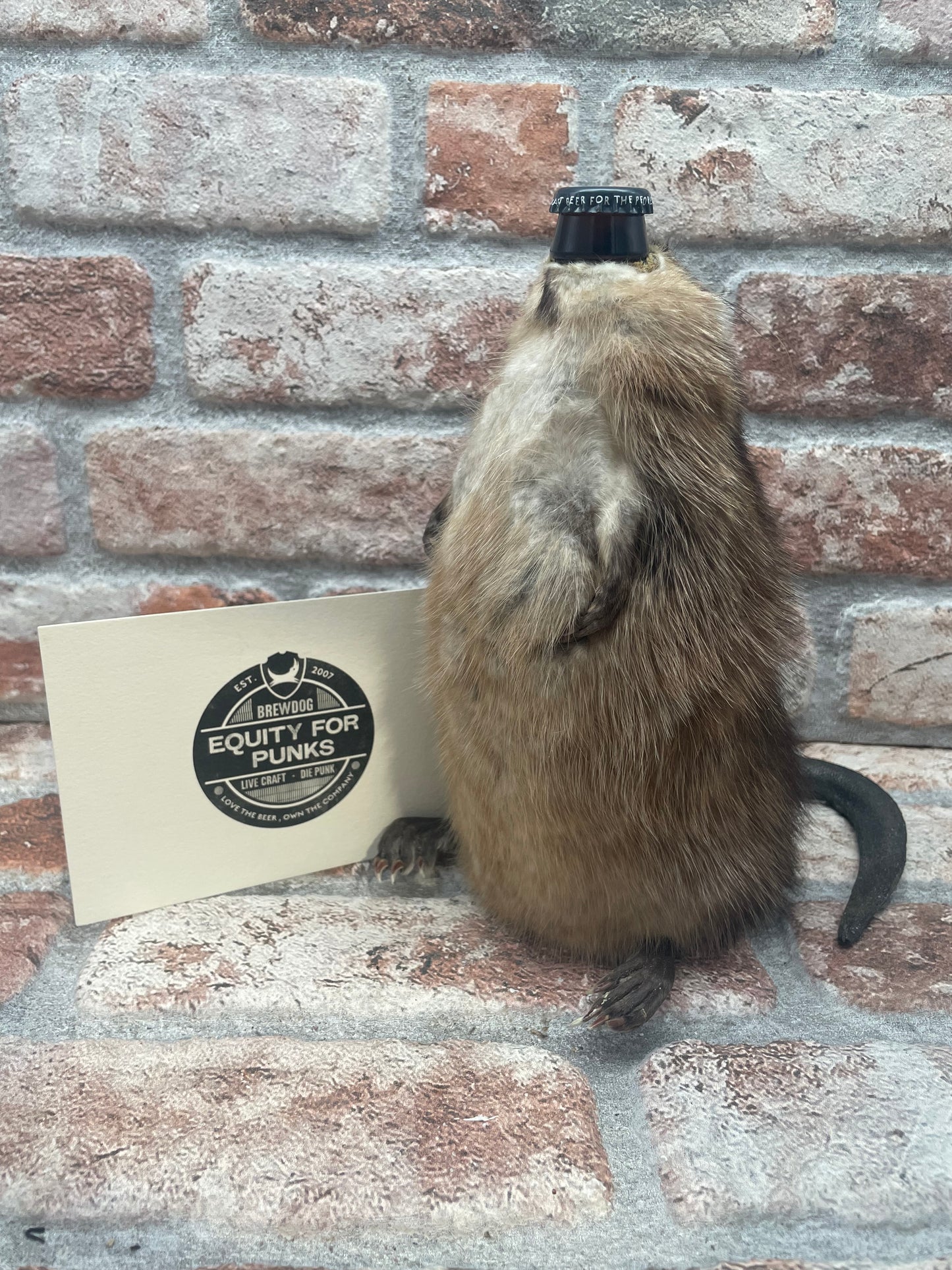 Brewdog End Of History (Not For Sale) Ijsbock - 33 CL