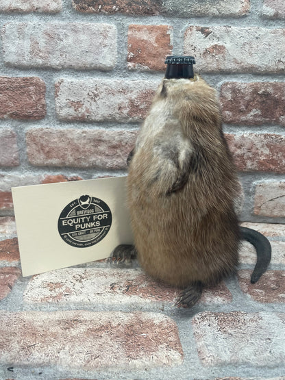 Brewdog End Of History (Not For Sale) Ijsbock - 33 CL