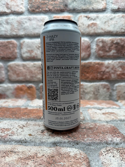 PINTA Hazy Discovery Sunnyside IPA – 50 CL