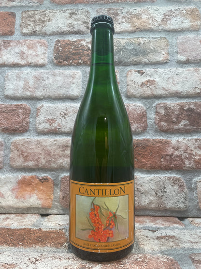 Cantillon Baie D'Argousier Lambic 2022 Lambic/Geuze - 75 CL