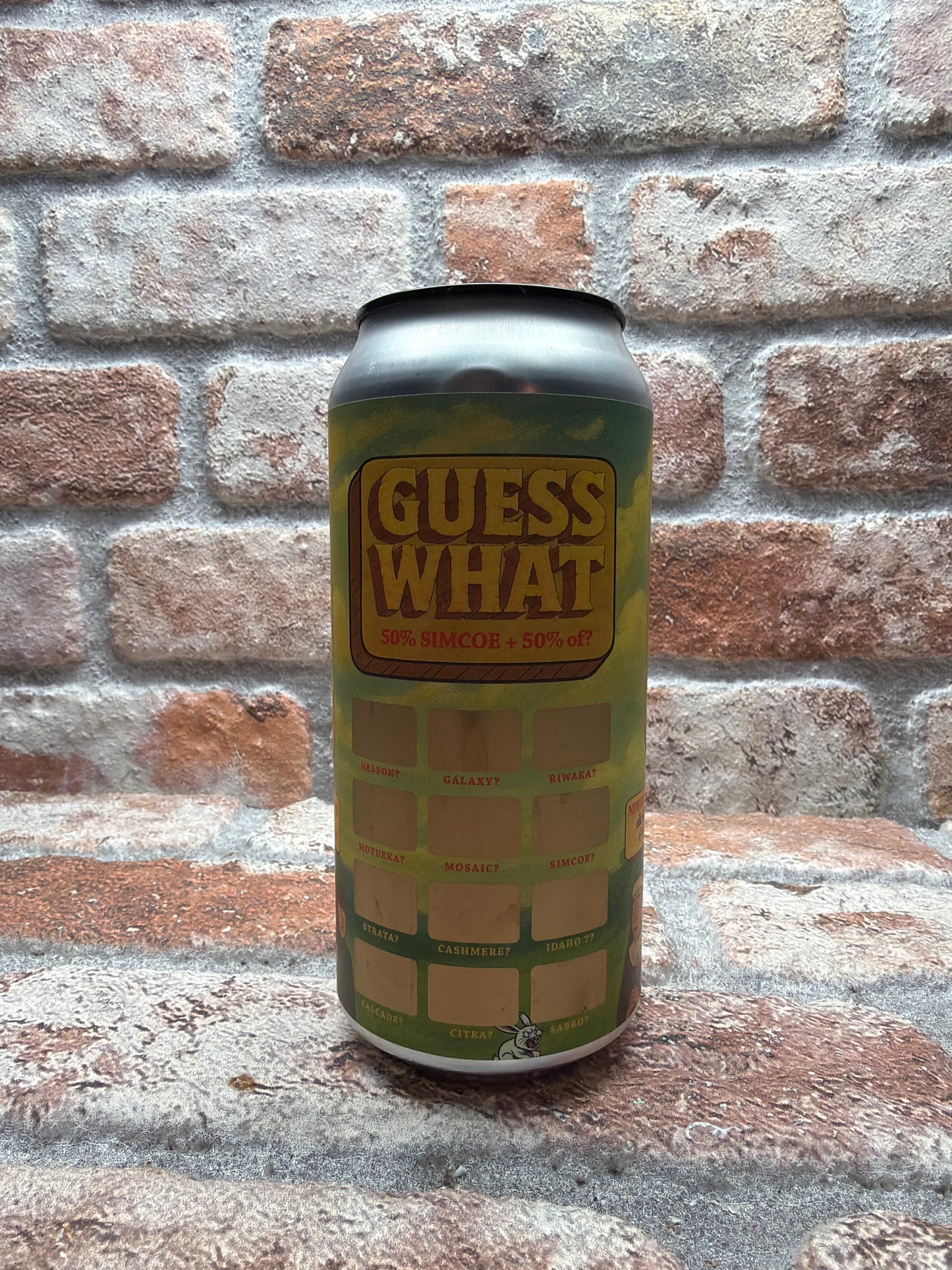 ATELIER VRAI GUESS WHAT? | HOLY GRAIL | 50% SIMCOE + ? IPA - 50 CL