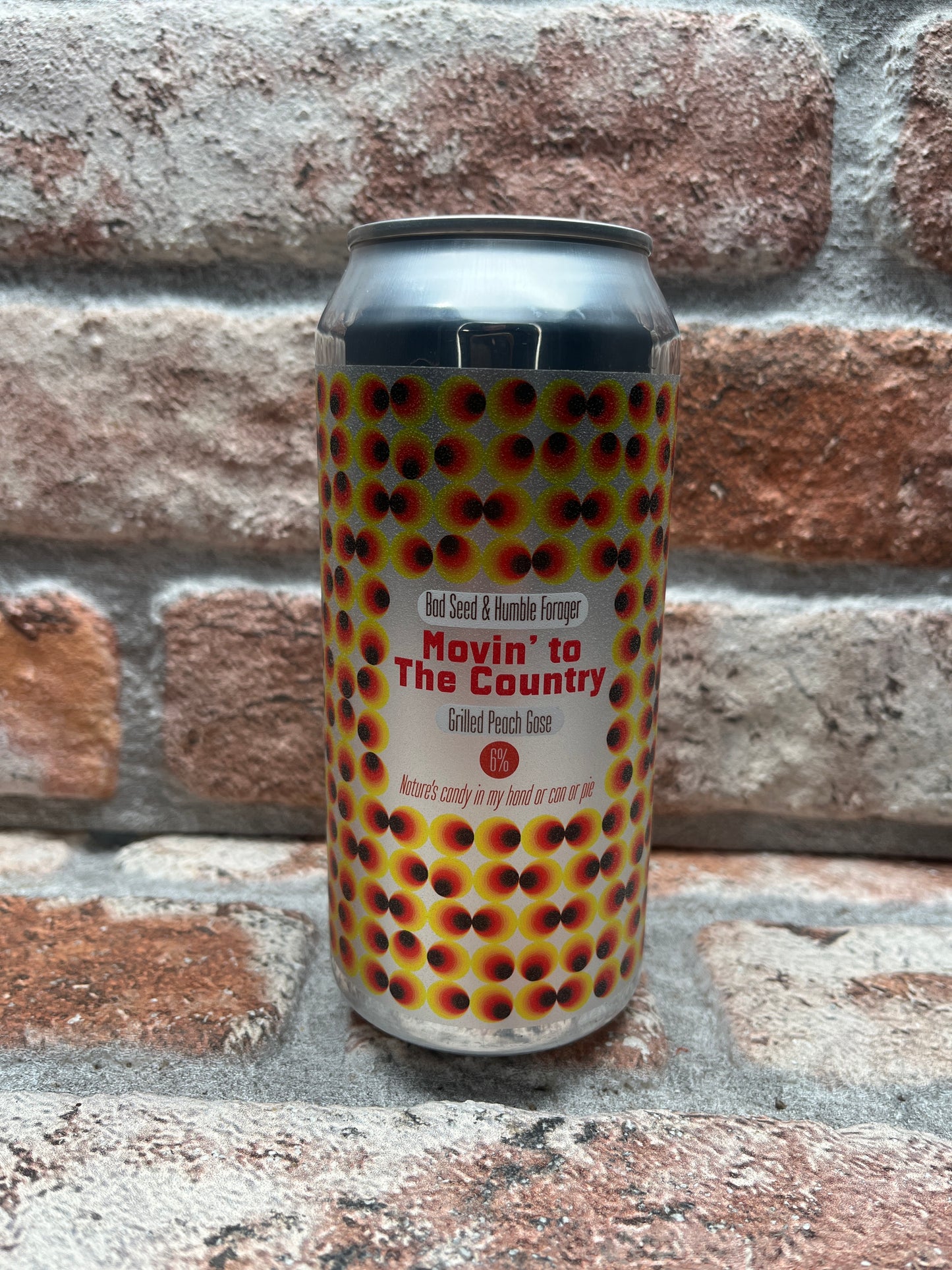 Bad Seed Brewing Movin' To The Country (Dosenversion) Sour - 44 CL