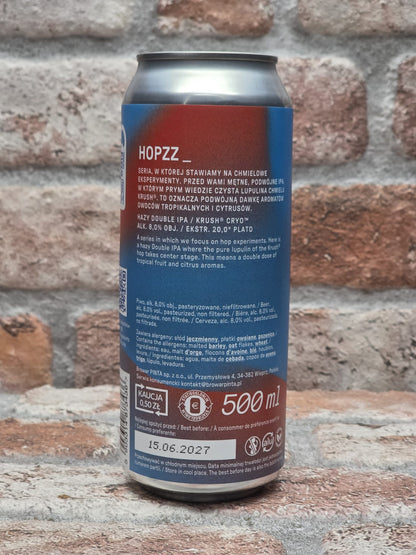 PINTA Hopzz_ Impact IPA - 50 CL