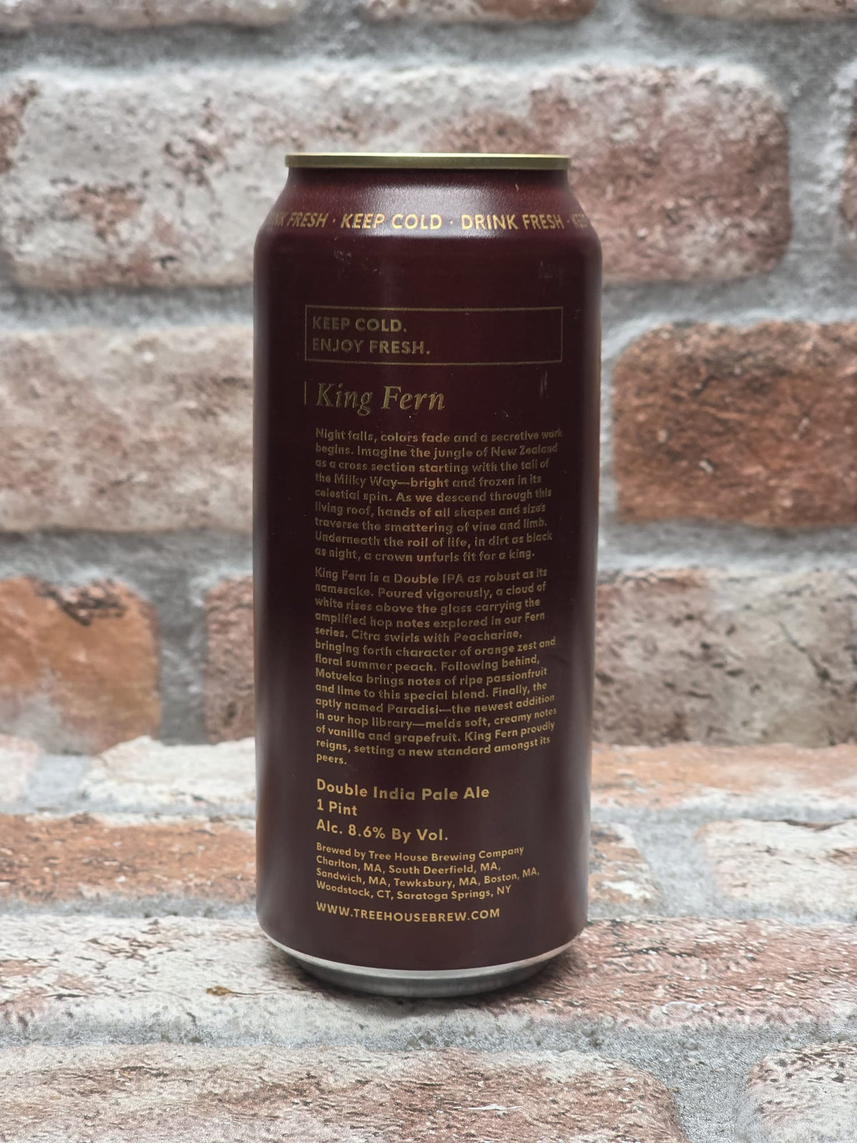 Tree House Brewing Company King Fern IPA - 47.3 CL (1 pint)