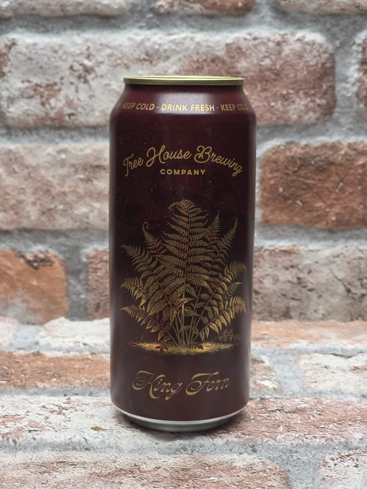 Tree House Brewing Company King Fern IPA - 47.3 CL (1 pint)