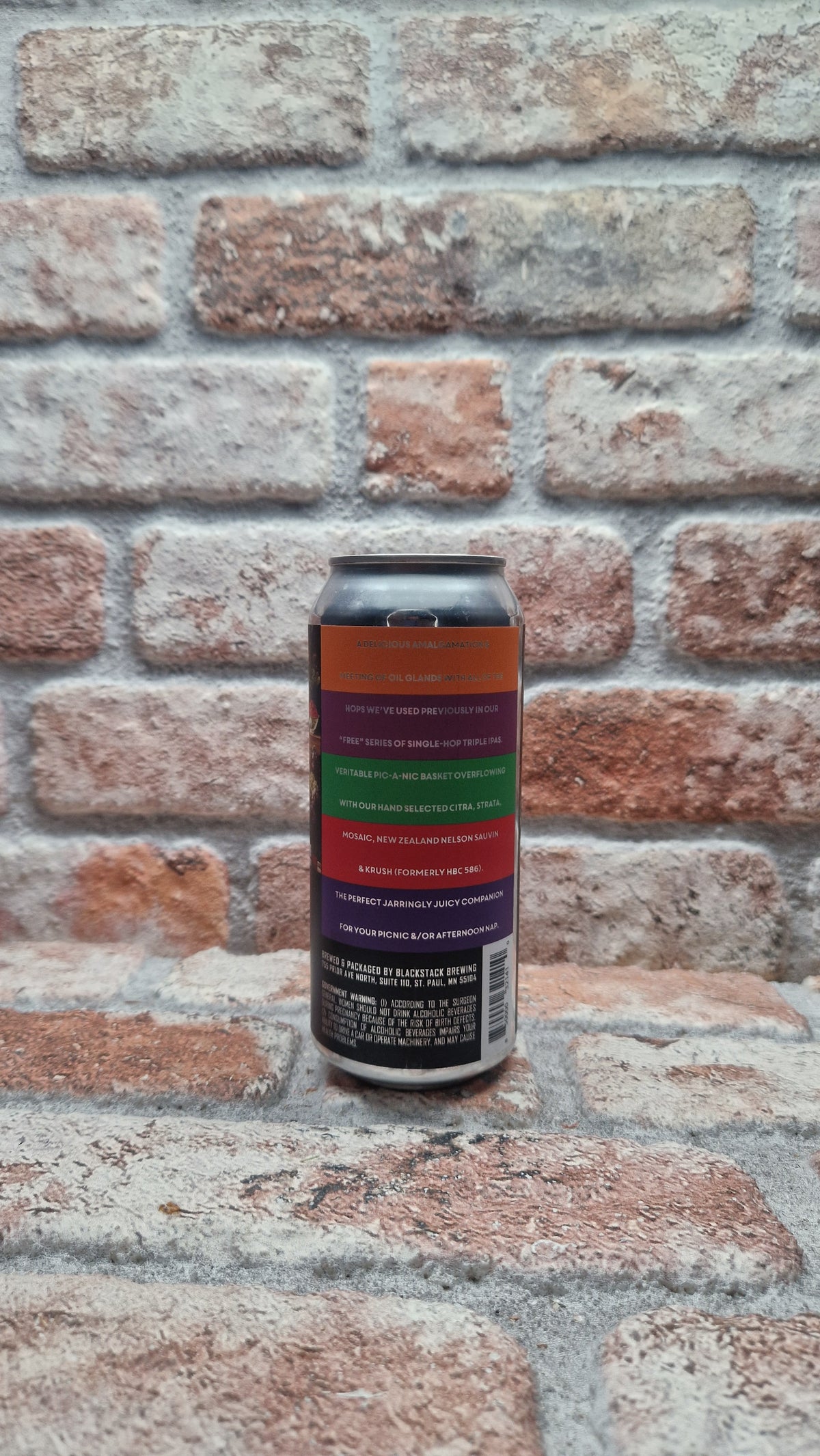 BlackStack Brewing FREE LUNCH IPA - 47.3 CL (1 pint)
