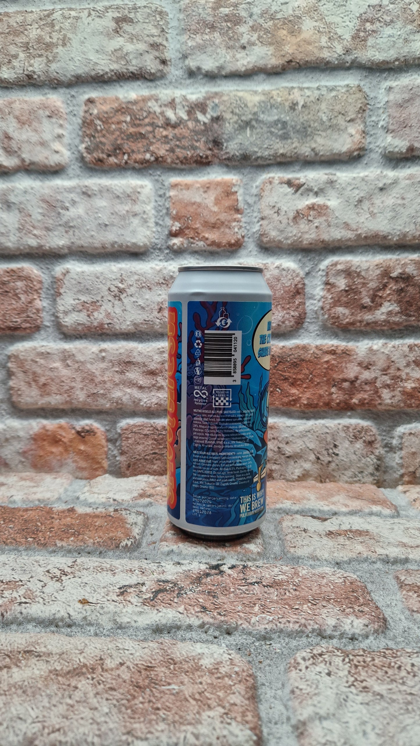 Pulfer Brewery Smoothiesh: Why Did the Crab Never Share His Toys? Sour - 50 CL