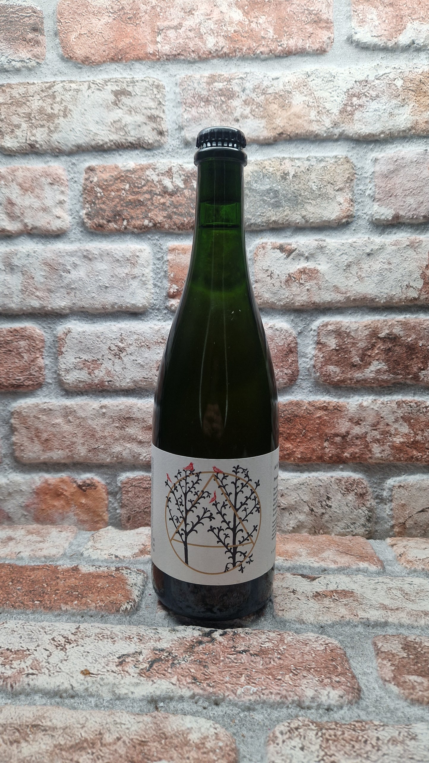 Antidoot Proceeds The Gentain -Tarocco 2025 Wild Ale - 75 CL