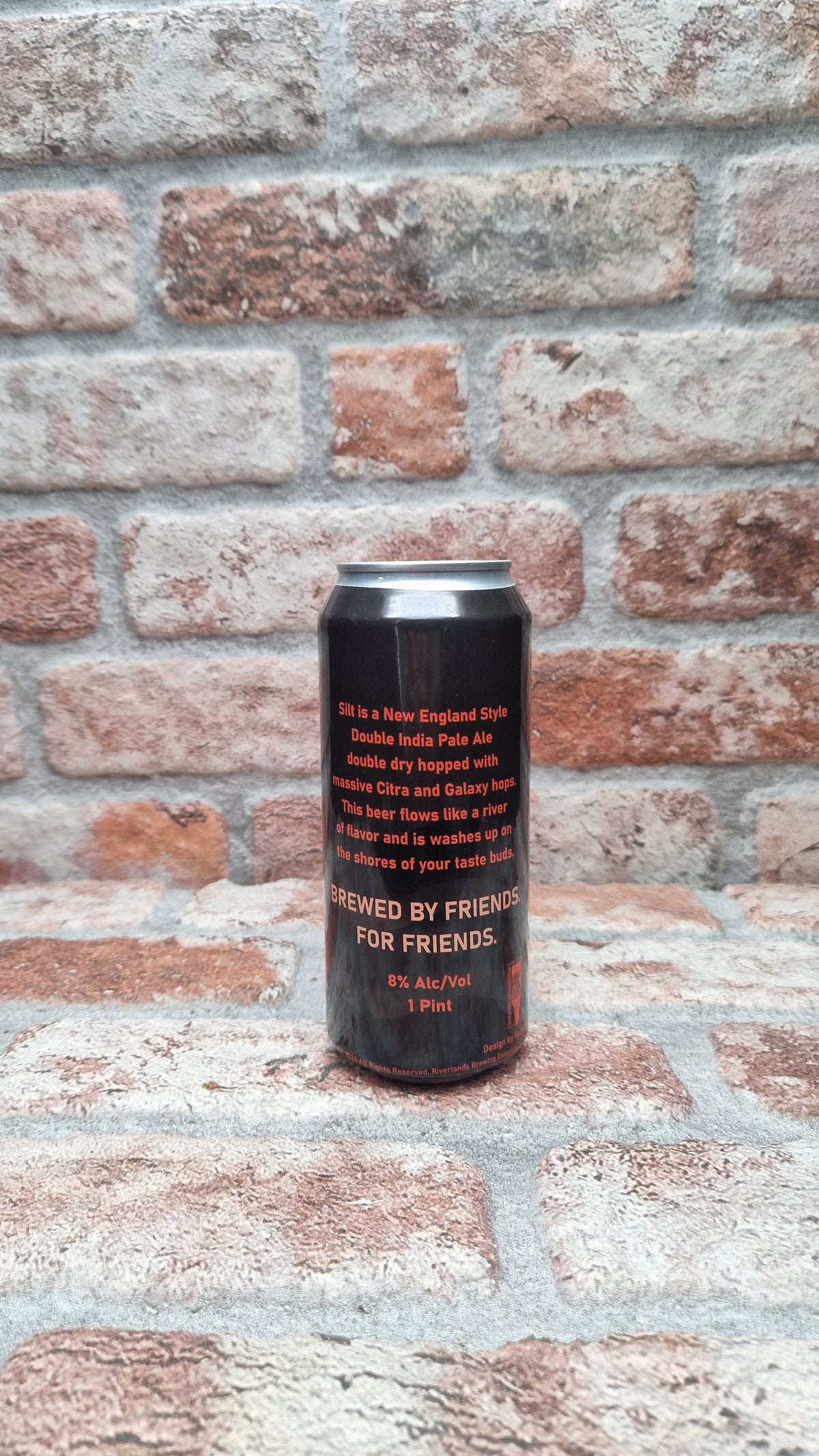 Riverlands Brewing Company Silt IPA - 44 CL