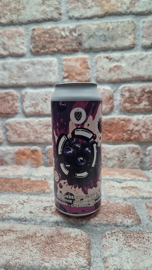 Brouwerij Lost BLUEBERRY FLUFF Sour – 50 CL