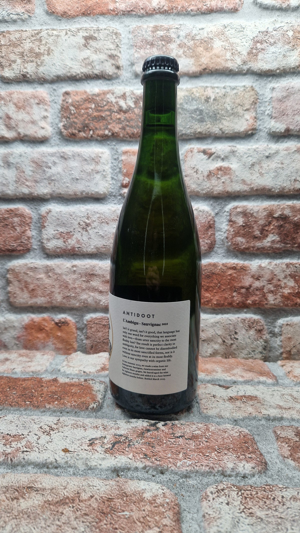 Antidoot L'Ambigu (Sauvignac) 2025 Sour - 75 CL