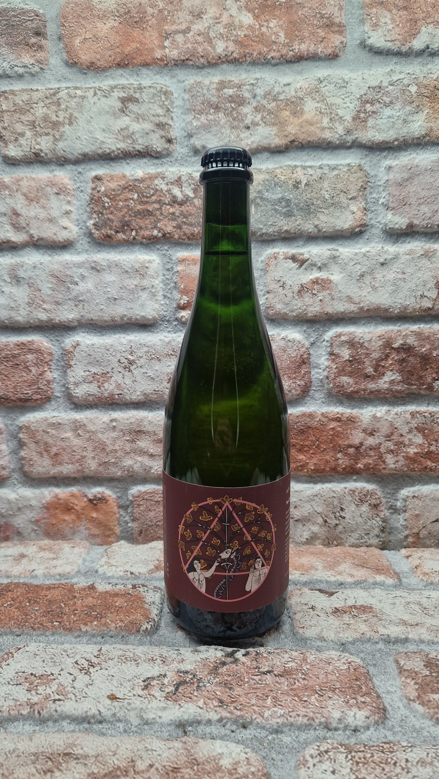 Antidoot 'Na De Val' 2017/2018 Cider - 75 CL