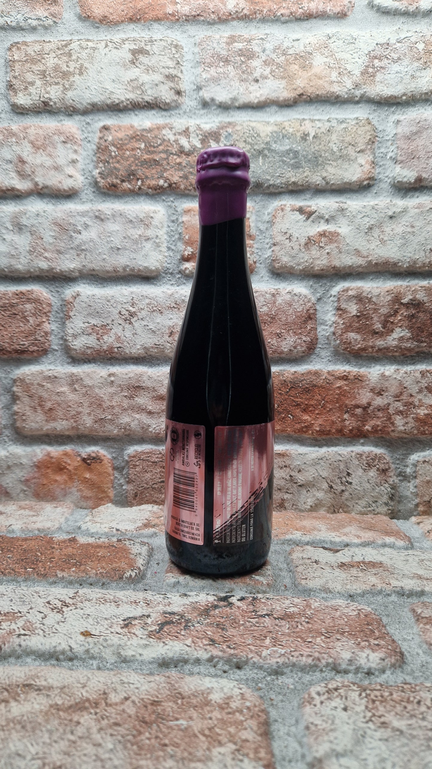 Bereta Brewing Co. Chasm Stout - 37,5 CL